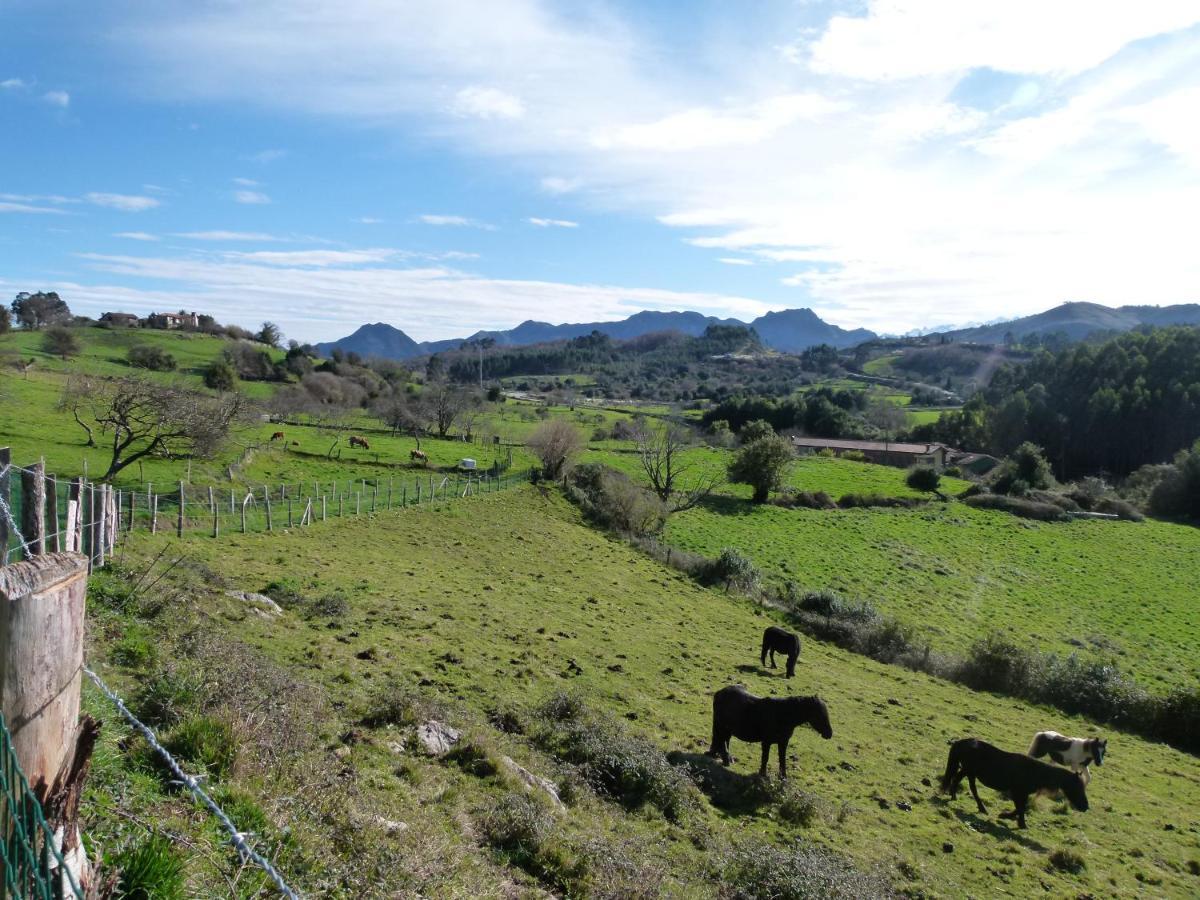 Hotel Finca Los Venancios Бонес Экстерьер фото